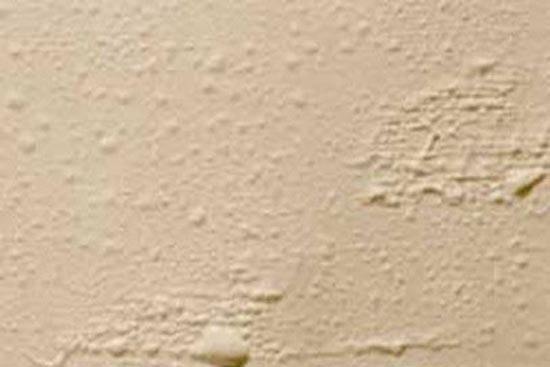 貴州膩?zhàn)臃蹚S家 貴州膩?zhàn)臃蹚S家